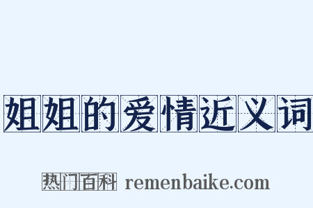 姐姐的爱情近义词是什么意思的图片